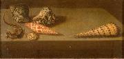 AST, Balthasar van der Lezards et coquillages Spain oil painting artist